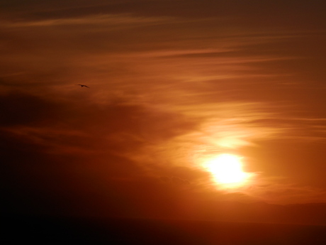 e0288951_16473626.jpg