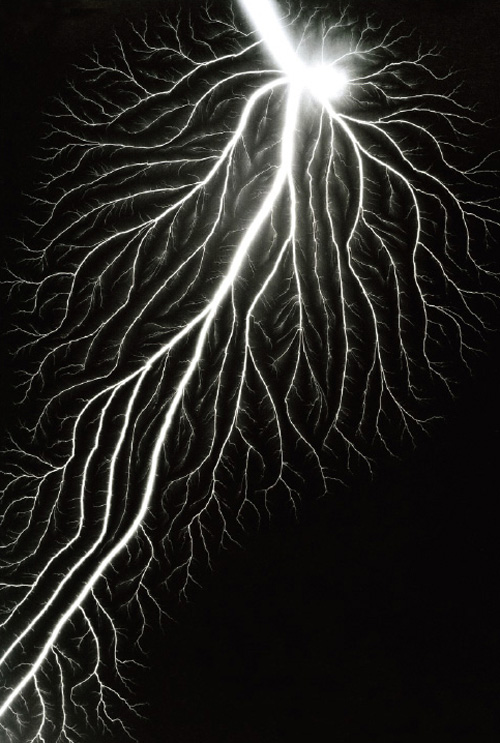 杉本 博司/hiroshi sugimoto : * Unknown Life