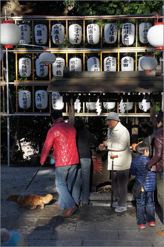2013年が始まりました 初詣と初猫 Digital Photography_f0117059_20551670.jpg