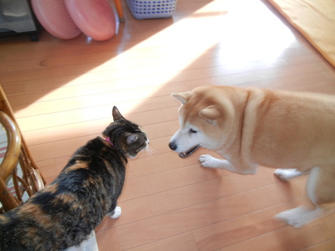 13,1,1(火)元旦に考えたこと!_f0060461_22132342.jpg