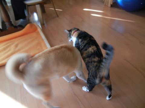 13,1,1(火)元旦に考えたこと!_f0060461_22271386.jpg