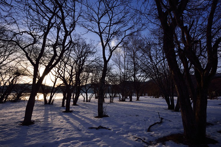 f0222161_2292783.jpg