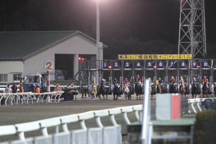 2012年12月31日（月） 高知競馬 7R GRAND PRIX 第43回 高知県知事賞 その1_a0077663_1038242.jpg