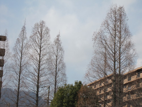 e0254678_21261152.jpg