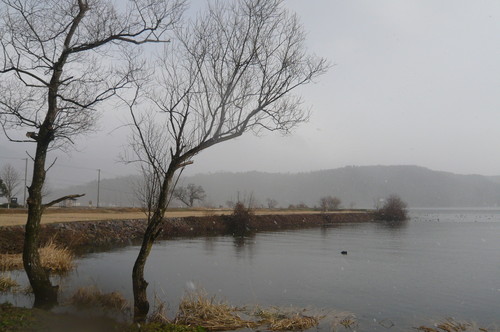 f0215179_20403987.jpg