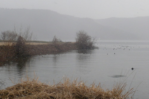 f0215179_20414124.jpg