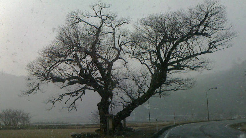 f0215179_2042157.jpg