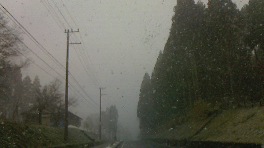 f0215179_20424031.jpg