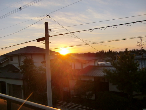 a0125981_196117.jpg