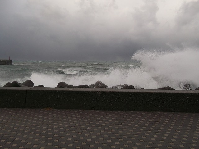 c0212083_052470.jpg