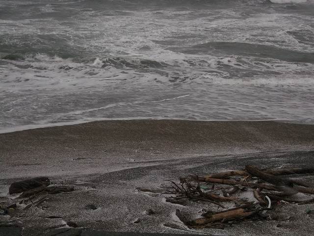 c0212083_06970.jpg