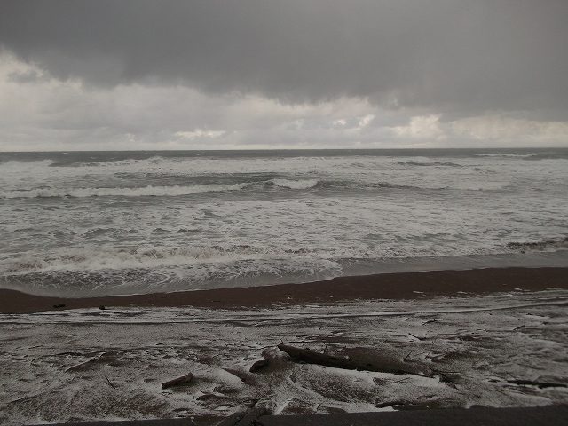 c0212083_084372.jpg
