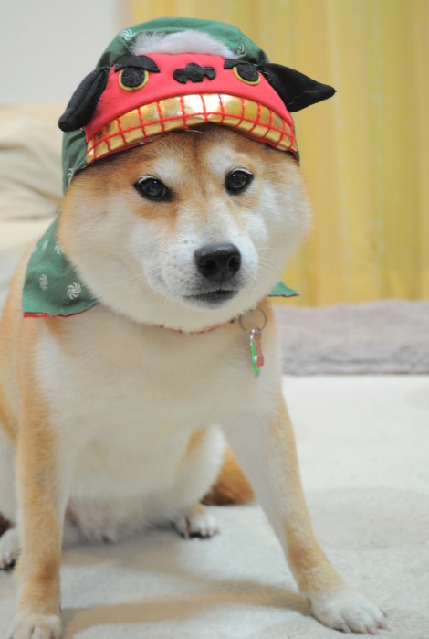 2013年新年のご挨拶_a0126590_093919.jpg