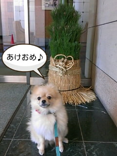 a0275494_8522432.jpg