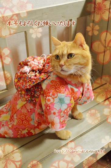 2013年元日_d0025294_23165960.jpg