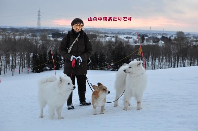 今年もここから始まりました。_f0212597_11191512.jpg