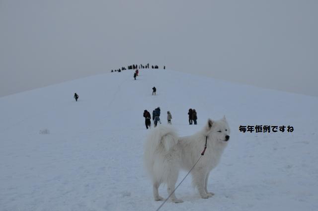 今年もここから始まりました。_f0212597_1119653.jpg