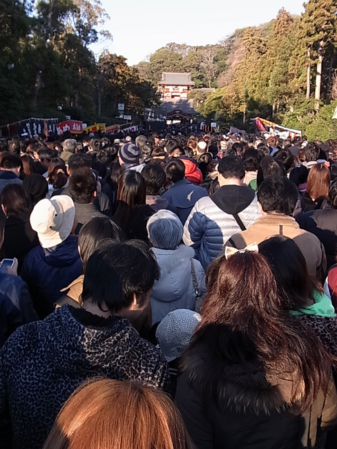 鶴岡八幡宮に初詣！_b0186200_2511221.jpg