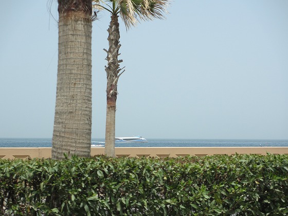 b0127002_2592134.jpg
