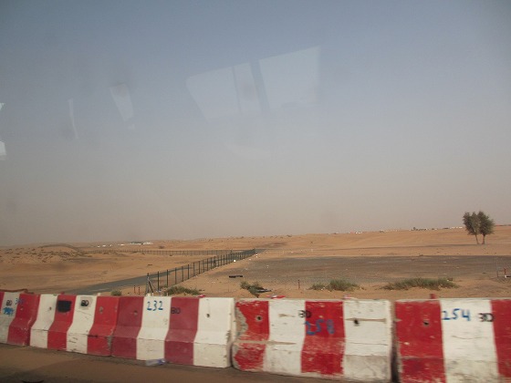 b0127002_3145113.jpg