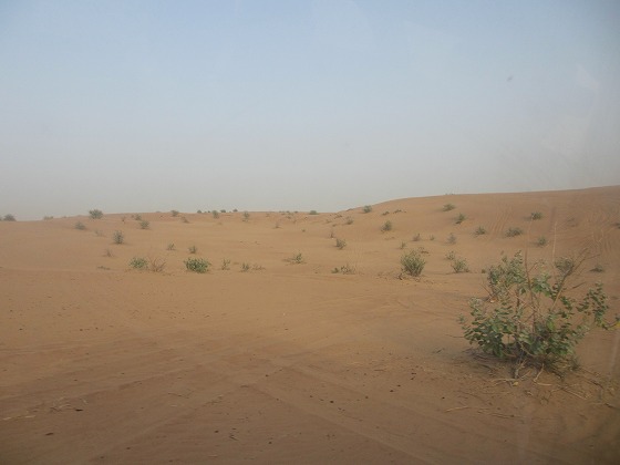 b0127002_323353.jpg