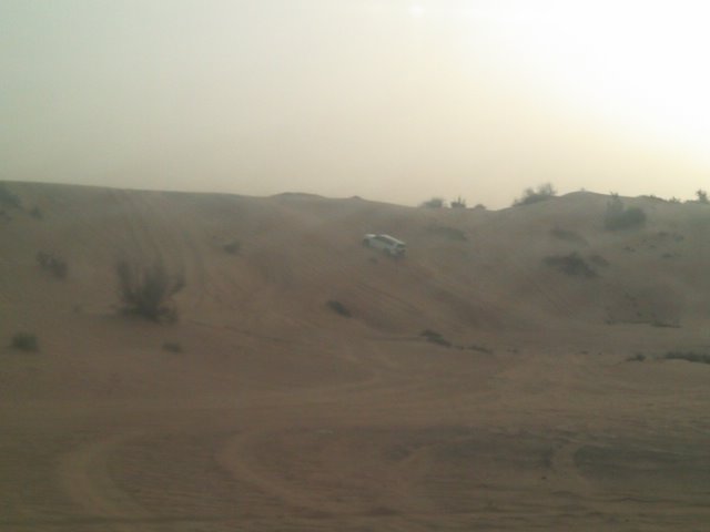 b0127002_3382732.jpg