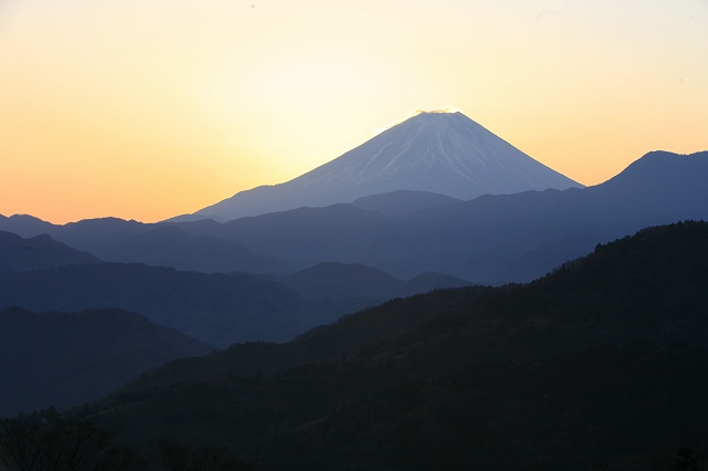 a0188405_8164697.jpg
