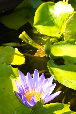 c0148705_9365886.jpg