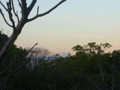 d0069411_11193853.jpg