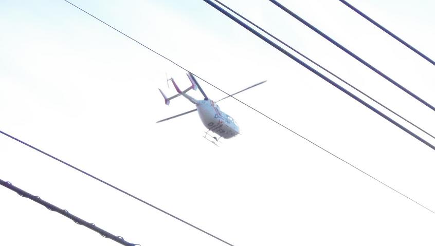 c0202113_12432367.jpg