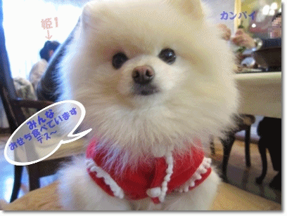 b0167519_18381764.gif