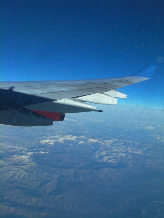 a0104020_2301326.jpg