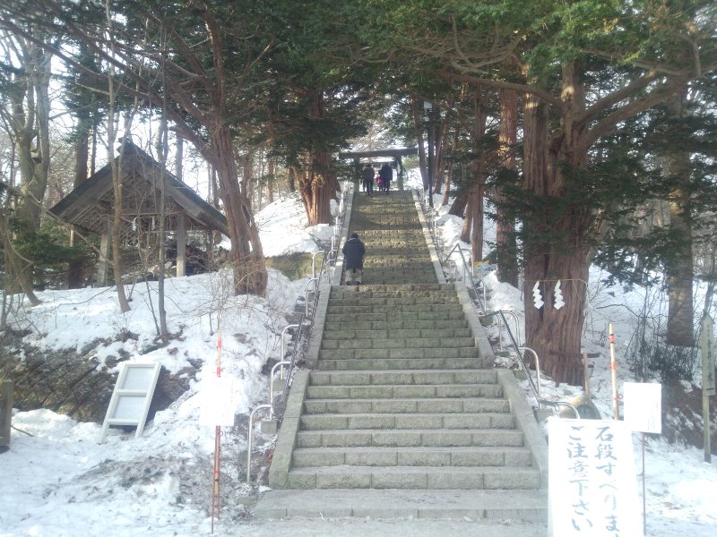 初詣２０１３千歳神社　今年は吉だった＾＾_b0128821_1010557.jpg