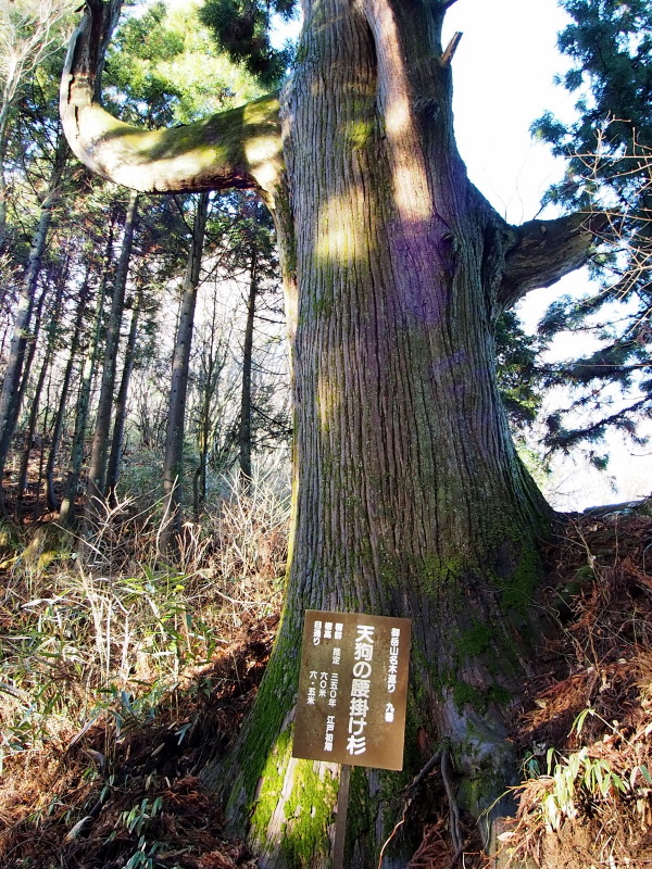 c0085622_21272145.jpg