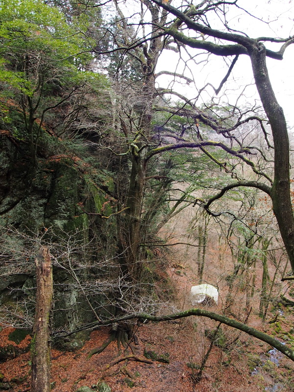 c0085622_21293685.jpg