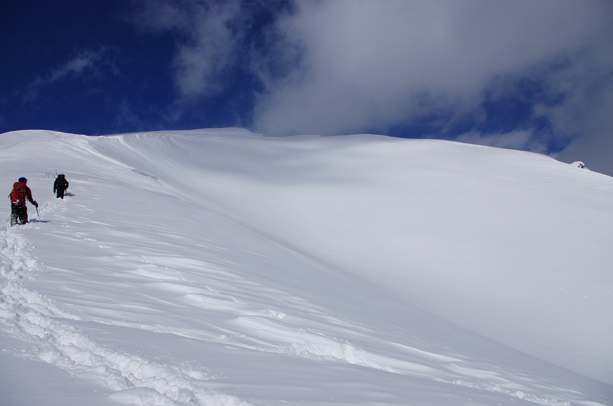b0062024_7461278.jpg