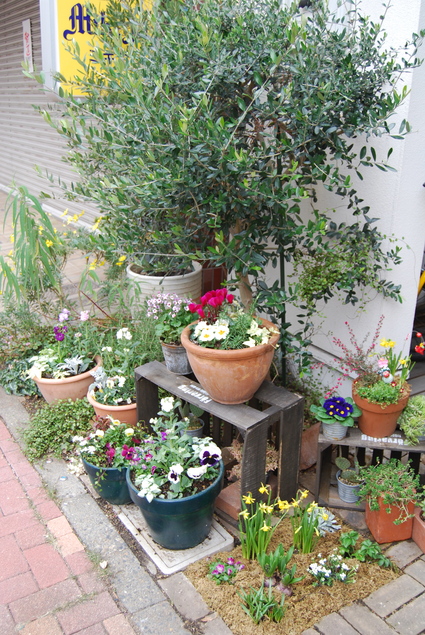 明けましておめでとうございます!!_d0127925_12153081.jpg