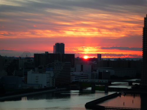 2013年に向けて。 _b0211926_16451959.jpg