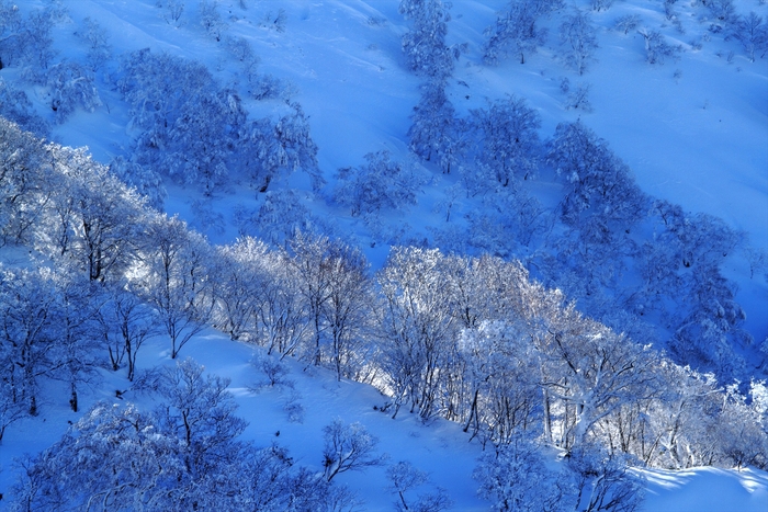 福島県耶麻郡猪苗代町 「箕輪山」_d0106628_10302037.jpg