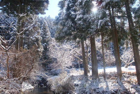 b0207632_20244079.jpg