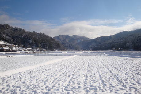 b0207632_20265954.jpg