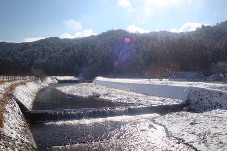 b0207632_20295516.jpg
