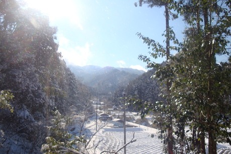 b0207632_2051336.jpg