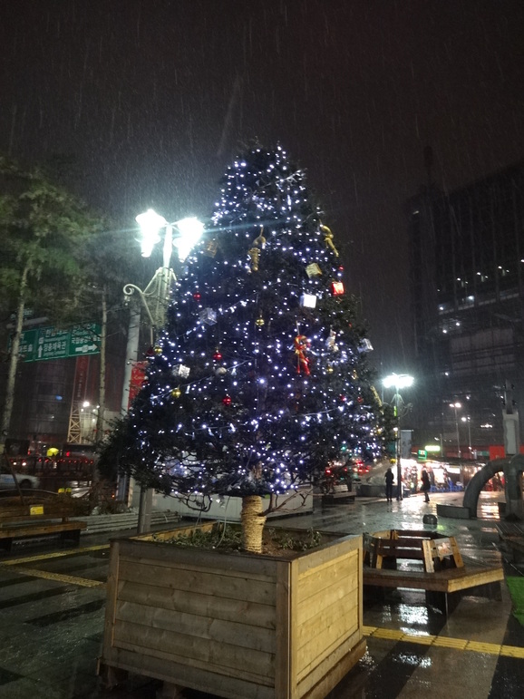 d0219834_23404436.jpg