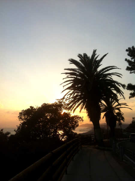 桂浜の夕日・・・_c0036138_2237685.jpg