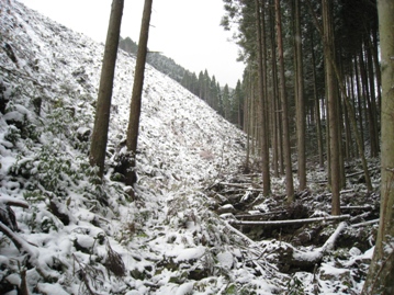 c0077338_9175538.jpg