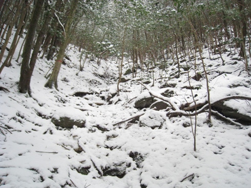 c0077338_919014.jpg