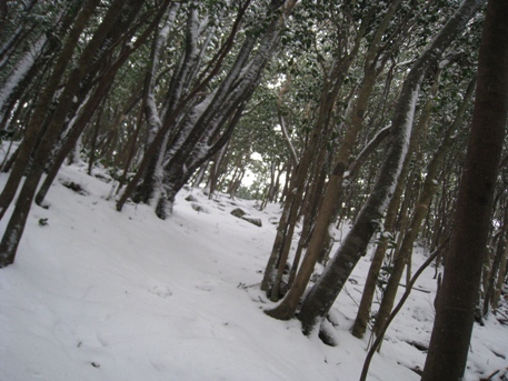 読書～山登り～温泉～映画　　背振　鬼ケ鼻岩山_c0077338_9191712.jpg