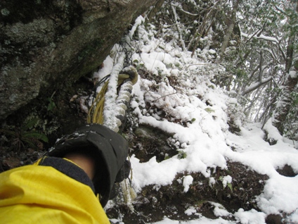 c0077338_9194940.jpg