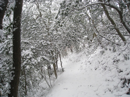c0077338_9204464.jpg